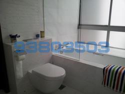 One Tree Hill Residence (D10), Apartment #91564382